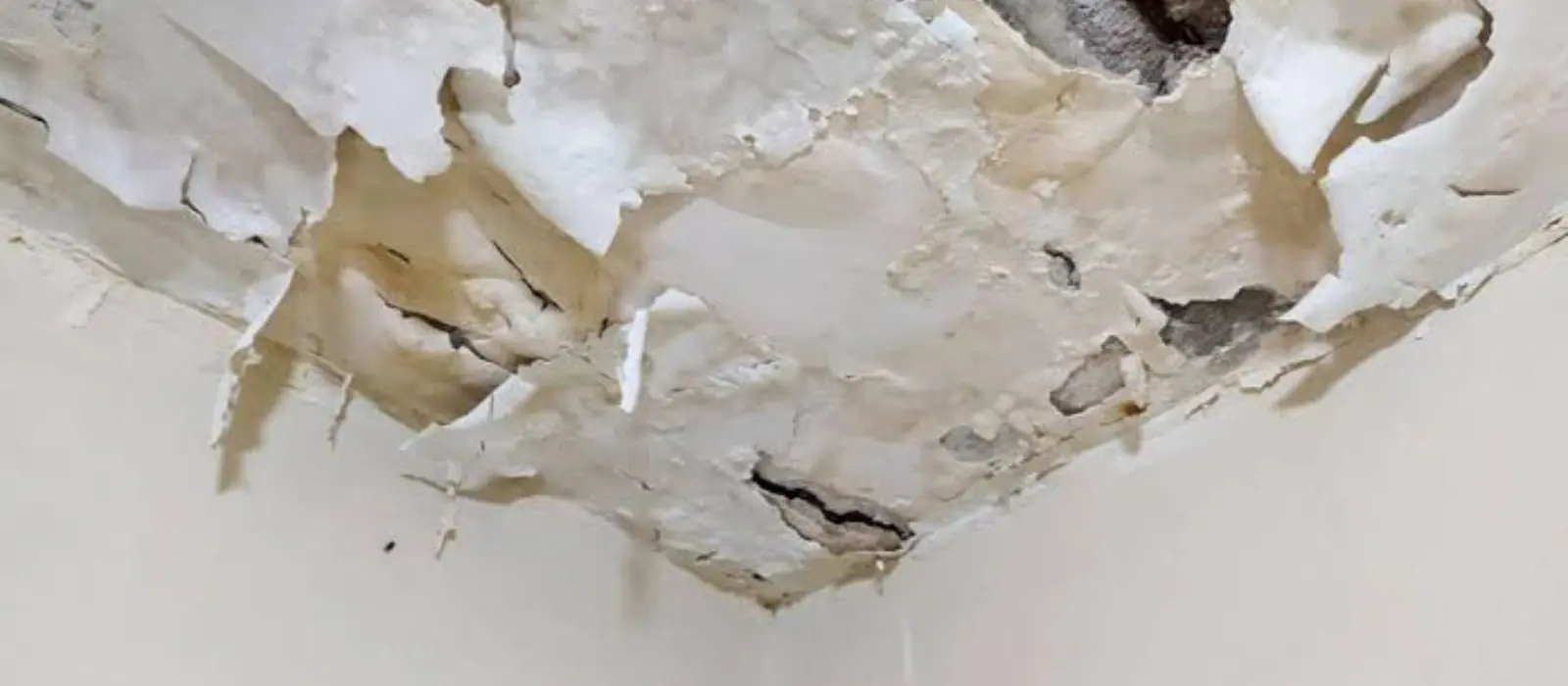 Peeling and water-stained ceiling drywall in a South Gate, CA home