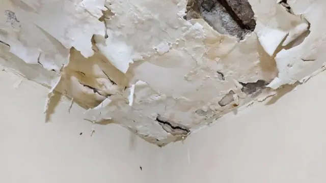 Peeling and water-stained ceiling drywall in a South Gate, CA home